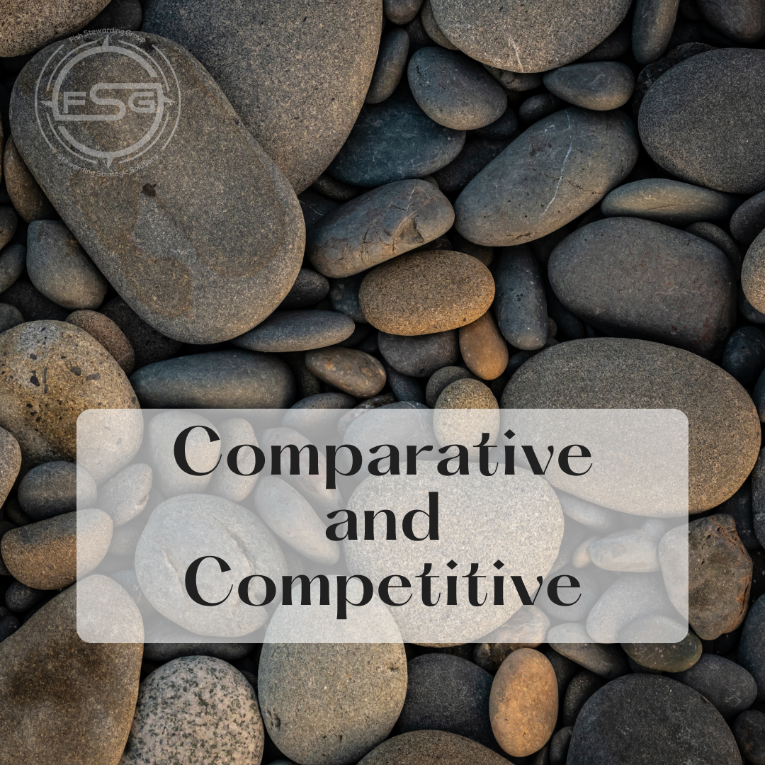 comparative and competitive stones for FSG A background of small stones with a small white watermark rectangular bar with black text inside that reads Comparative and Competitive. In the upper left hand corner is a watermark FSG logo. The logo has the letters FSG in the middle with a circle with four pointed arrows facing north, south, east and west with the S connected to that circle. Four rounded lines make the next circle of the circle and the last layer is a thin circle with the text on the Bottom that reads Stewarding Strategist Solutions and on top, the text reads Fish Stewarding Group. To the right of the logo is the text: Fish Stewarding Group and beneath it are the words Messaging, Strategy, Finance and Development.